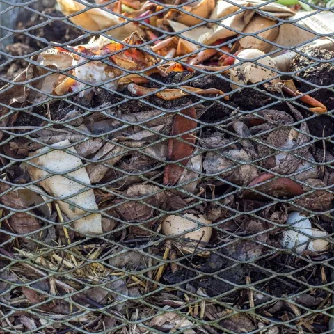 compost-5992409 1280 Pixbay