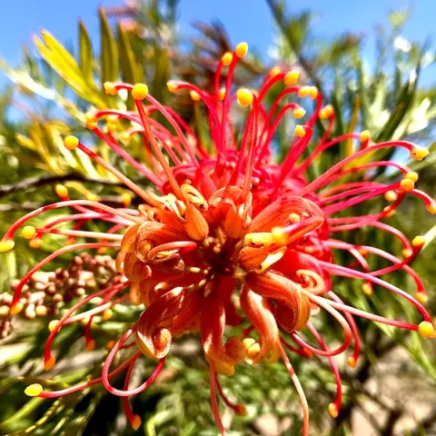 Photo by Megan Edwards