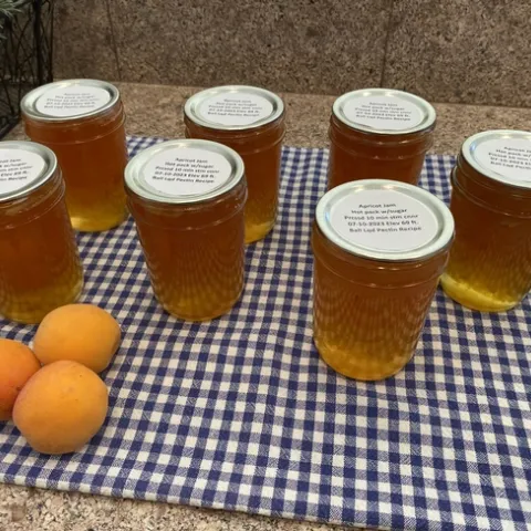 Martha apricot jam 2