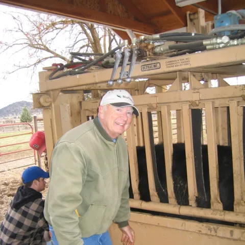 Man wearing ball cap and a jacket works next to a pen holding a cow.