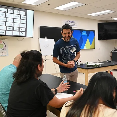 Professor Miguel Angel Miranda of the University of the Balearic Islands (UBI), Spain, teaching a workshop on "How to Draw Bugs." (Photo by Kathy Keatley Garvey)