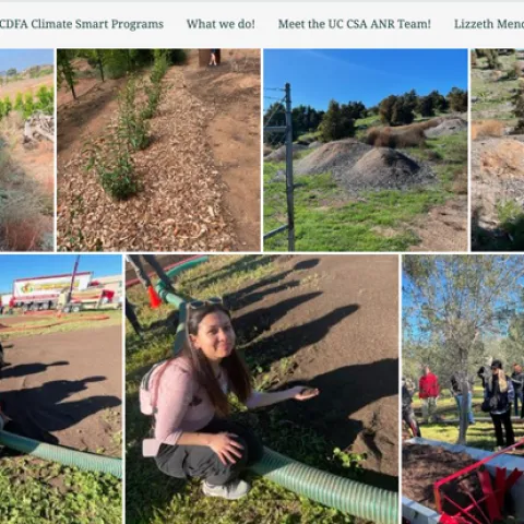 Screenshot shows the top navigation "What is CSA, CDFA Climate Smart Programs, What we do, Meet the team! Images of plantings, team members working and a field day.