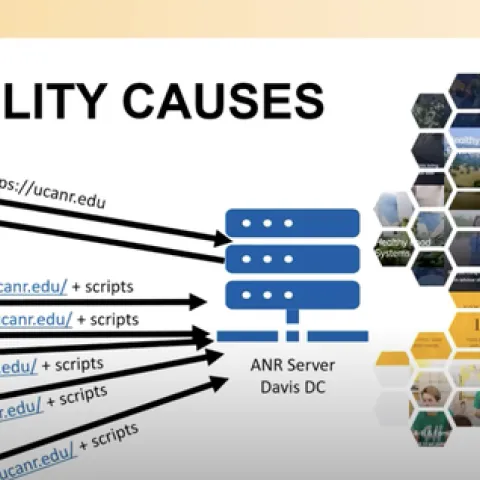 Instability causes: depiction of bots bombarding the ANR server with viruslike scripts. Her image is in the upper right corner as she speaks during the Zoom presentation.