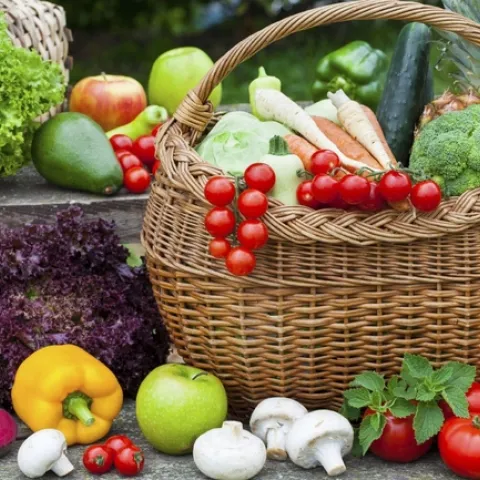 2023 2FromtheGarden01