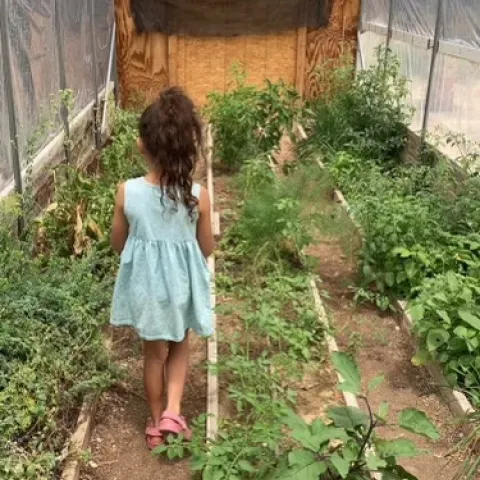 photos by Bernadette Thomas