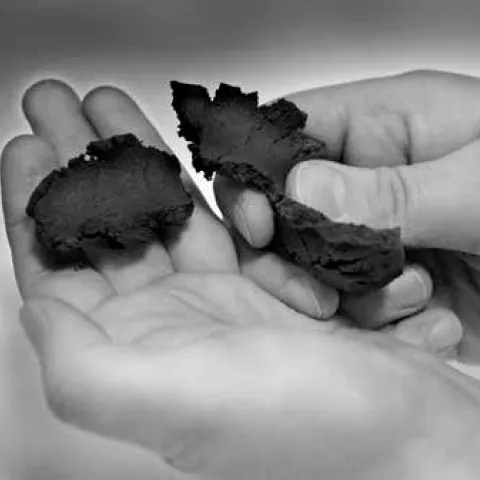 Soil Texture By Feel KSU mf2852