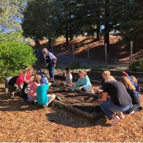 Children work in a garden bed planting seeds.