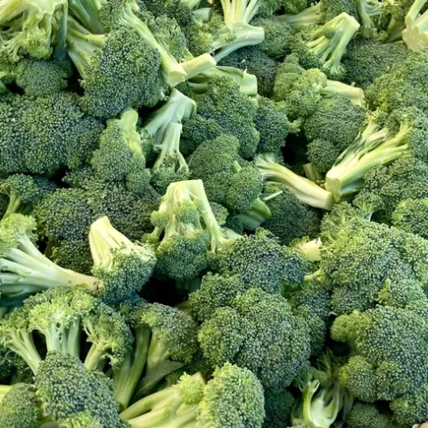 Broccoli crowns piled on a table