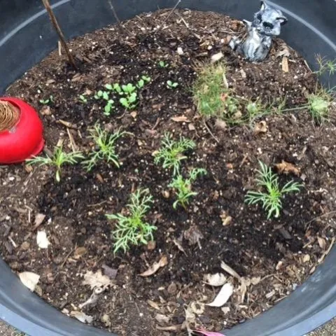 photo by Heather Hamilton