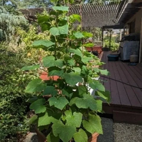 photos by Nanelle Jones-Sullivan