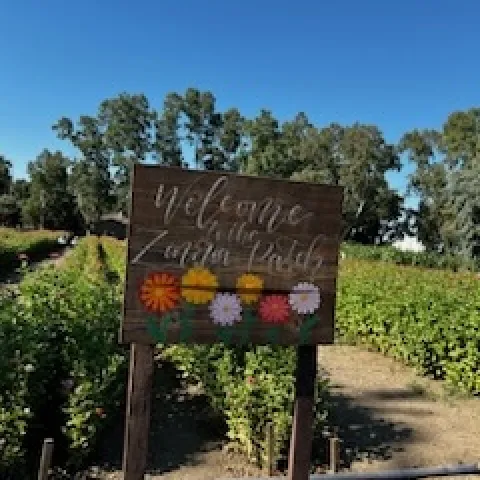 photos by Jennifer Baumbach