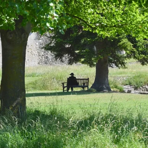 Women with Hat Sitting Under Tree by nick.amoscato is licensed under CC BY 2.0.