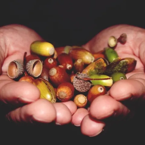 hands-970191 1280 Pixbay