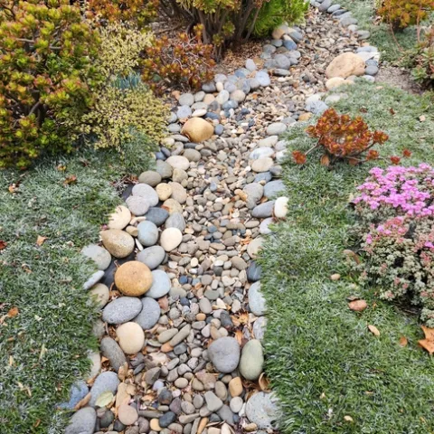 Photo by Polly Nelson