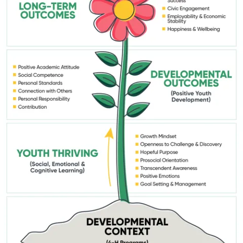 Thrive Model Illustration