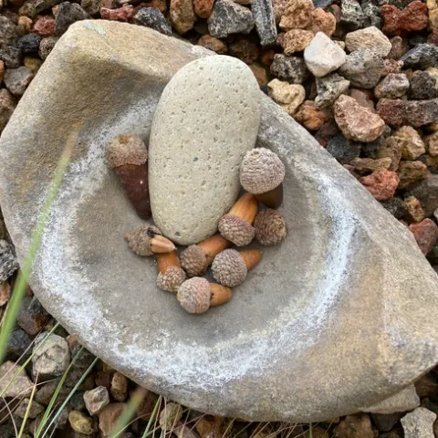 Mortar and pestle for grinding acorns.