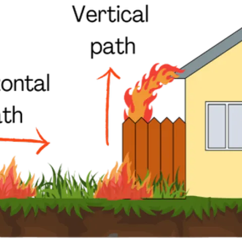 Graphic image depicting horizontal and vertical fire paths.