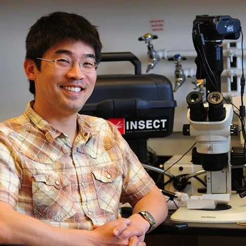 Community ecologist Louie Yang, professor, UC Davis Department of Entomology and Nematology, has received a campuswide UC Davis Graduate Program Advising and Mentoring Award. (Photo by Kathy Keatley Garvey)