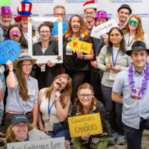 IPM team mugs for the camera wearing funny hats and holding props.