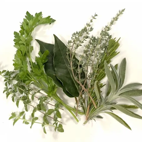 herb cluster Karen Schaffer