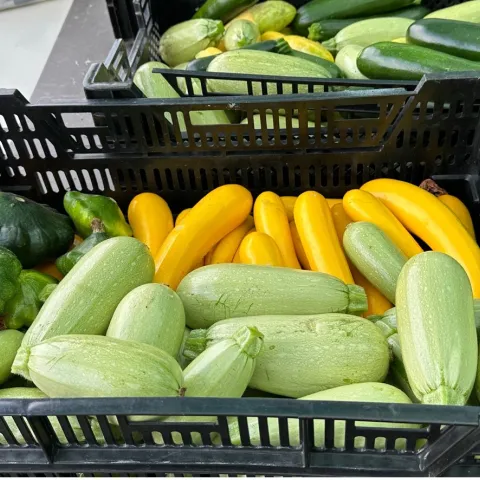 Summer squash are tastiest when they are picked while small.