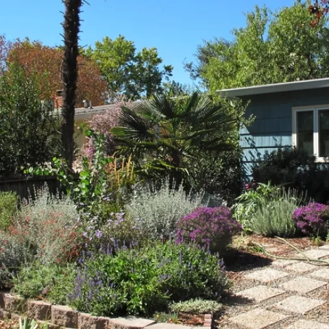 Blue house with a raised planter of trees, shrubs, and flowers.