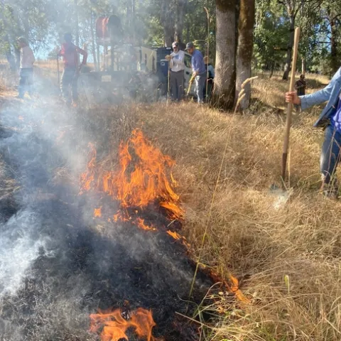 Rancher Carol Kramer managing barb goatgrass with prescribed fire. Jul 13, 2023.
