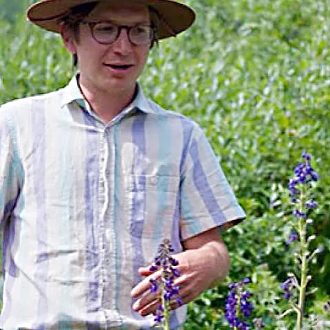 Conservation ecologist Paul CaraDonna of the Chicago Botanic Garden and Northwestern University will be the UC Davis Department of Entomology's first speaker in its fall seminar series.