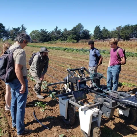 Five people stand around a robot as it moves through a crop field.
