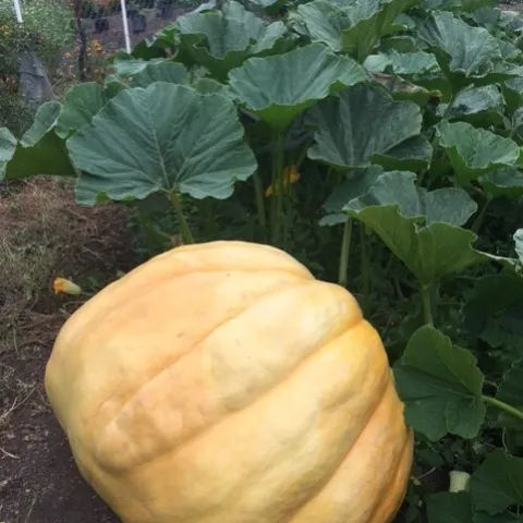 photos by Heather Hamilton