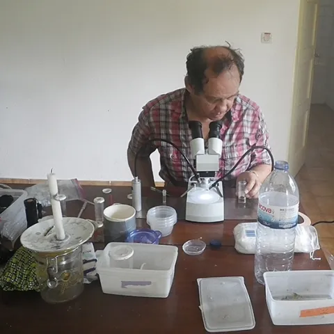 Anthony "Anton" Cornel of the UC Davis Department of Entomology and Nematology faculty identifying and preserving mosquitoes at the Botanical Gardens in São Tomé.