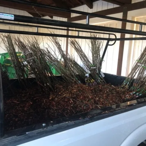 photos by Matt Wilke