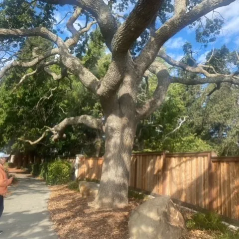 photo by Mike Gunther