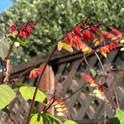 photos by Erin Mahaney