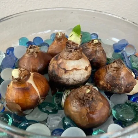 Photos: Sue Bohigian