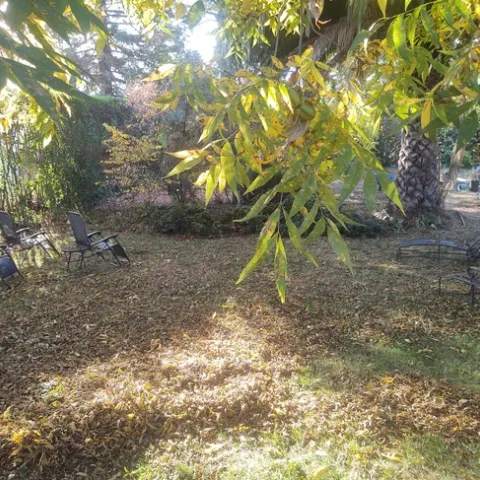 Photo credit Bill Doucet