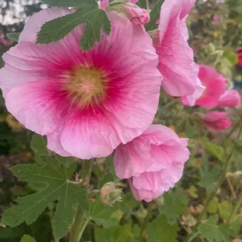 Photo by Jutta Thoerner