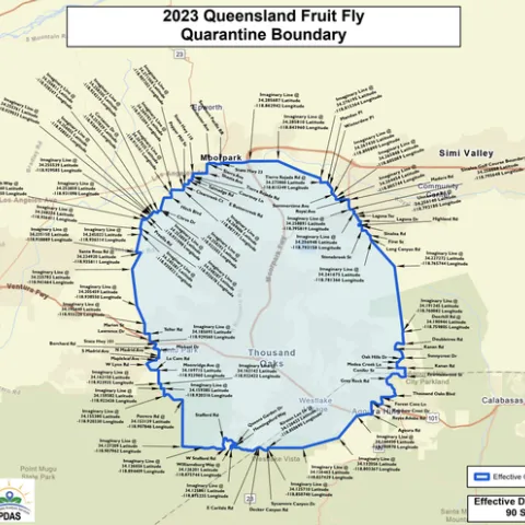 QLFF fly quarantine area