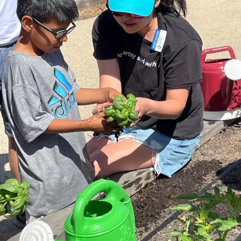 A woman shows the roots of a basil plant to a boy