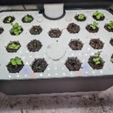 photos by Nanelle Jones-Sullivan