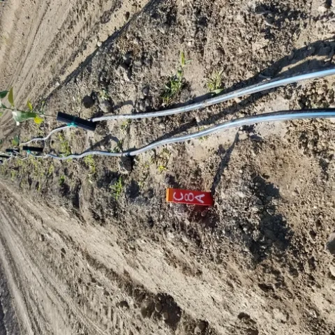 irrigation with double lines