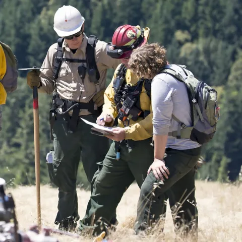 Three people discuss a prescribed burn while standing in a field