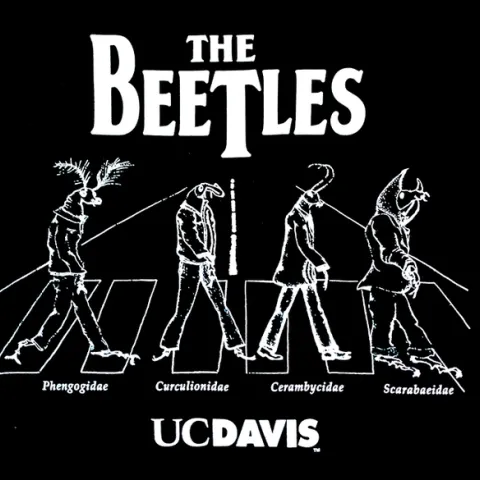 A close up of the UC Davis Entomology Graduate Student Association's all-time best-selling T-shirt, "The Beetles." Each image bears the family name: Phengogidae, Curculionidae, Cerambycidae and Scarabaeidae.