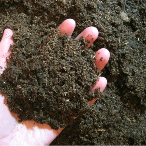 A hand holding brown soil.