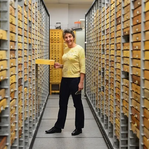 UC Davis distinguished professor Lynn Kimsey, director of the Bohart Museum, will discuss her work on social wasps at the Bohart Museum open house on Saturday, Jan. 20. (Photo by Kathy Keatley Garvey)