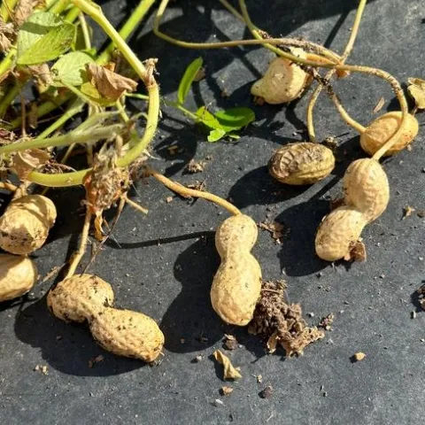 photos by Erin Mahaney