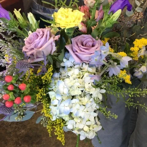 photos by Heather Hamilton