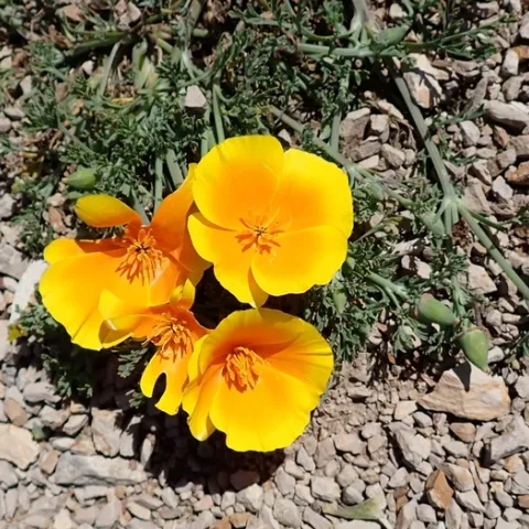 photo by Michael Zeiss