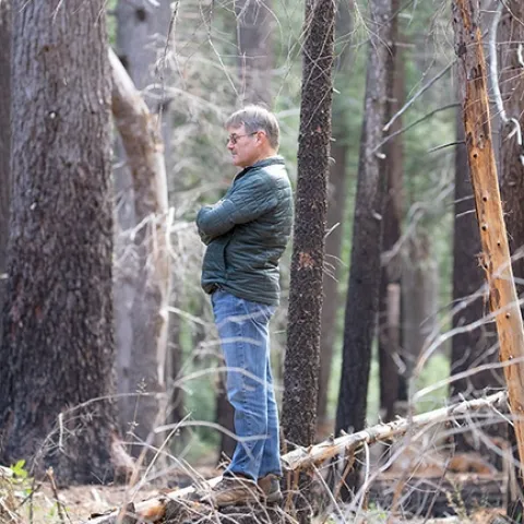 Scott Stephens stands in the forest