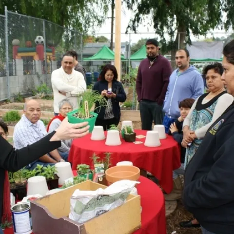 Rachel Surls (a la izquierda), quien aparece aquí impartiendo un taller en un huerto comunitario, ha enseñado a los angelinos a cultivar alimentos desde 1988. Ella se ha apoyado en los voluntarios del Programa Jardinero Maestro de UC para difundir la información entre la comunidad.